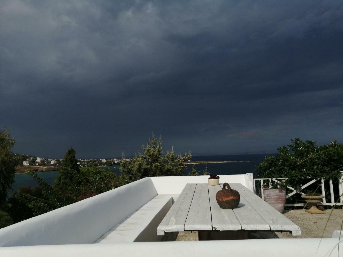 Artemis Villa Near Athens Airport Markopoulo Mesogaias Luaran gambar